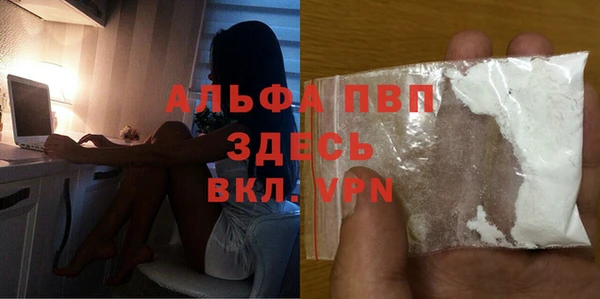 гашик Сосновый Бор
