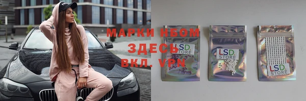 гашик Сосновый Бор