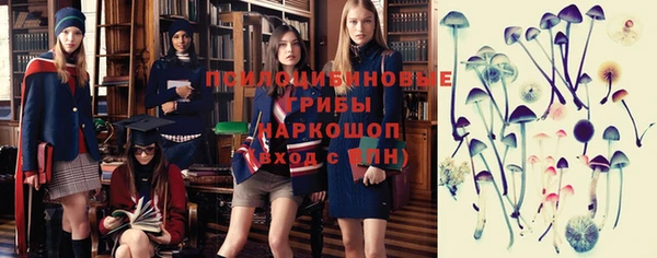 гашик Сосновый Бор