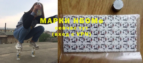 сатива Пионерский