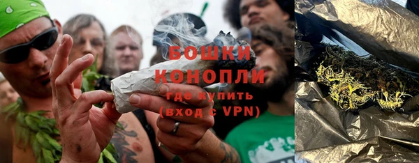 гашик Сосновый Бор