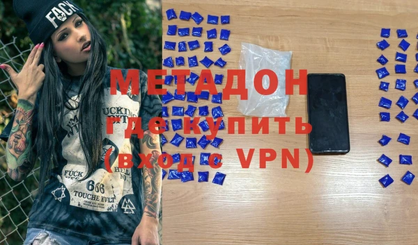 сатива Пионерский