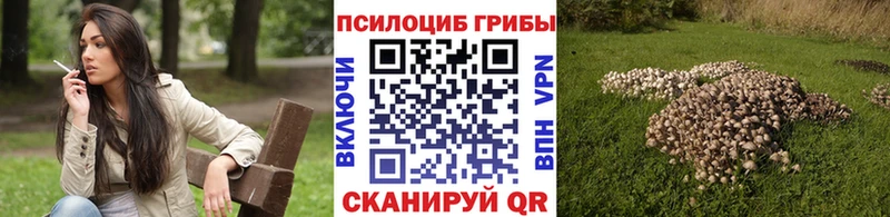 Галлюциногенные грибы MAGIC MUSHROOMS  дарк нет клад  Уварово  магазин продажи наркотиков 
