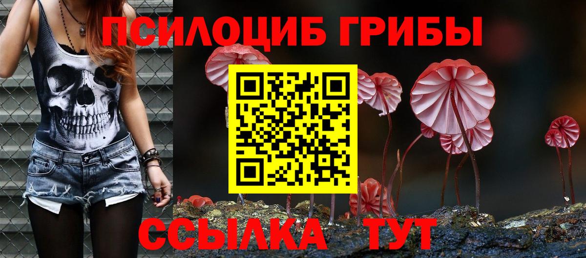Псилоцибиновые грибы GOLDEN TEACHER Уварово